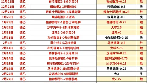 奥里萨邦羽毛球赛：中国选手组合战胜高永杰和洼纯佑组合